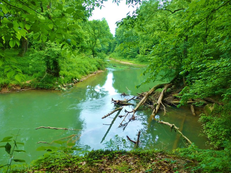 From a rock overhanging Horse Creek and looking up the creek to the south where the Graham grist mill was in the early 19th Century.