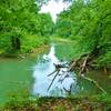 From a rock overhanging Horse Creek and looking up the creek to the south where the Graham grist mill was in the early 19th Century.