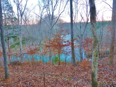 view of Horse Creek from the sauna showing the singletrack trail going down to the creek