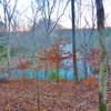 view of Horse Creek from the sauna showing the singletrack trail going down to the creek