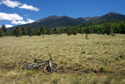 Humphreys Peak from Hart Prairie