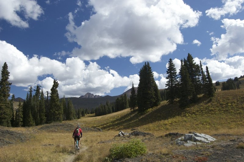 Just hitting the singletrack after the climb up to Scofield Pass