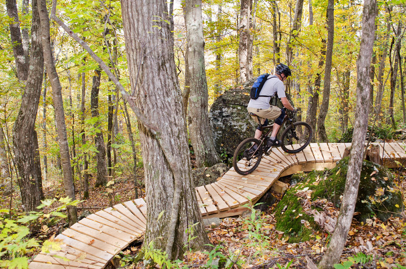 Elevated bridge on Boat Rock Trail. Photo by Lynn Willis