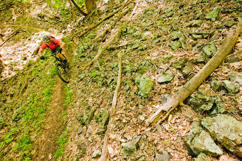 Fast and fun descent down Salt Stump