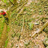 Fast and fun descent down Salt Stump