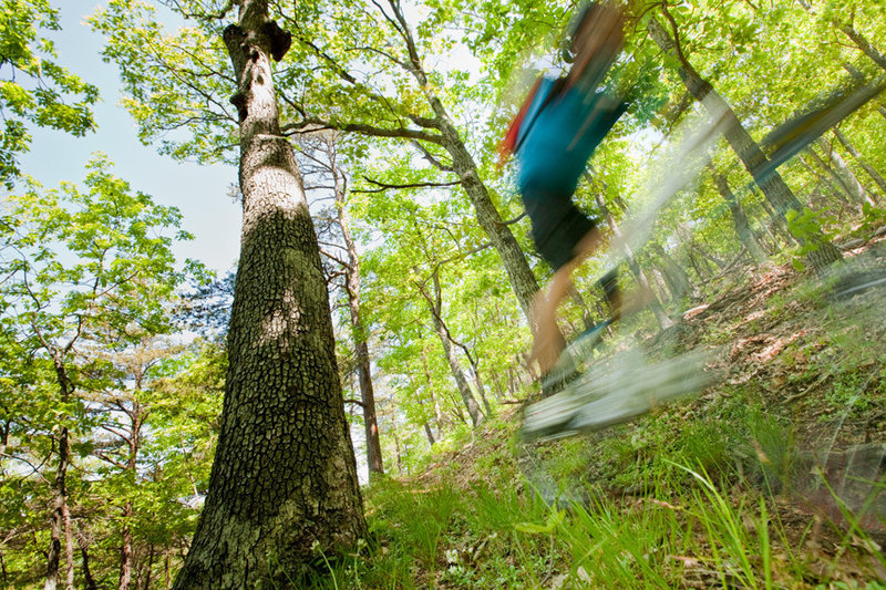 Brushy Hollow is a whole lot of fun descending to Douthat Road.