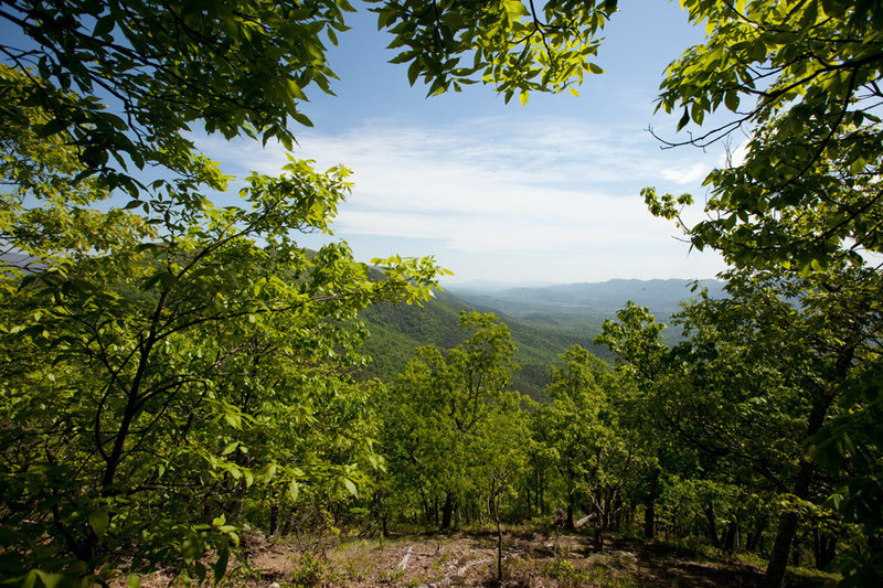 Great views to the west into George Washington National Forest