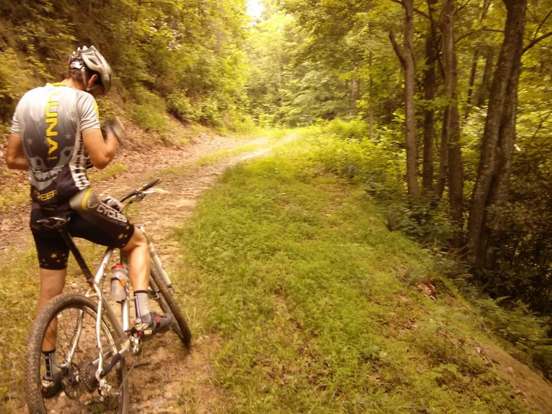 Climbing the forest service road.