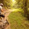 Climbing the forest service road.