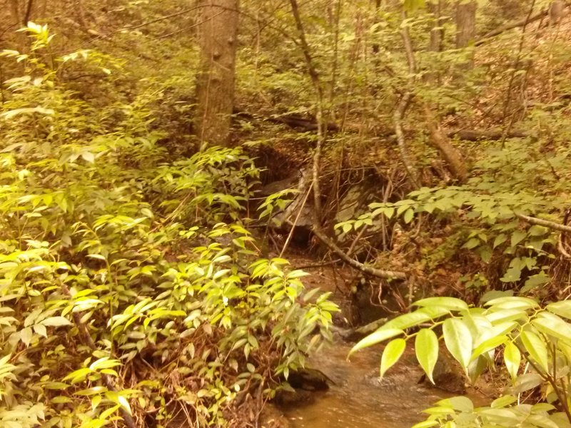 Small waterfalls abound.