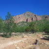 Cool views of the rock spires on Little Elden Mountain