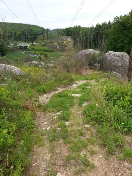 First power line section on the Moore Loop