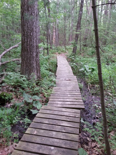 Half Moon Meadow trail in Boxboro, MA