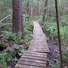 Half Moon Meadow trail in Boxboro, MA