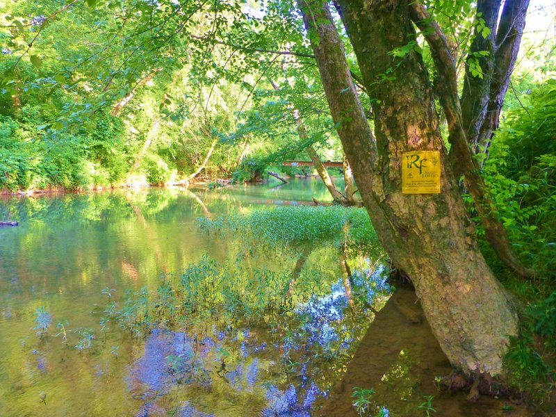 The bridge across Horse Creek