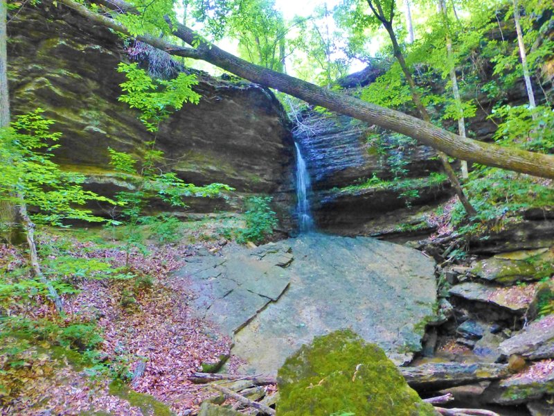 Sugar Camp Hollow waterfall