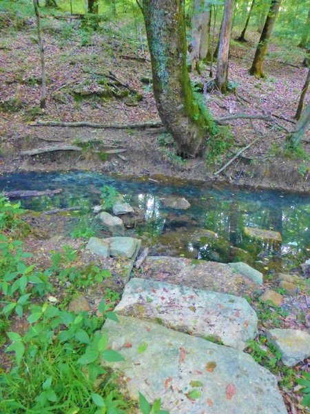 Black Sulphur Spring