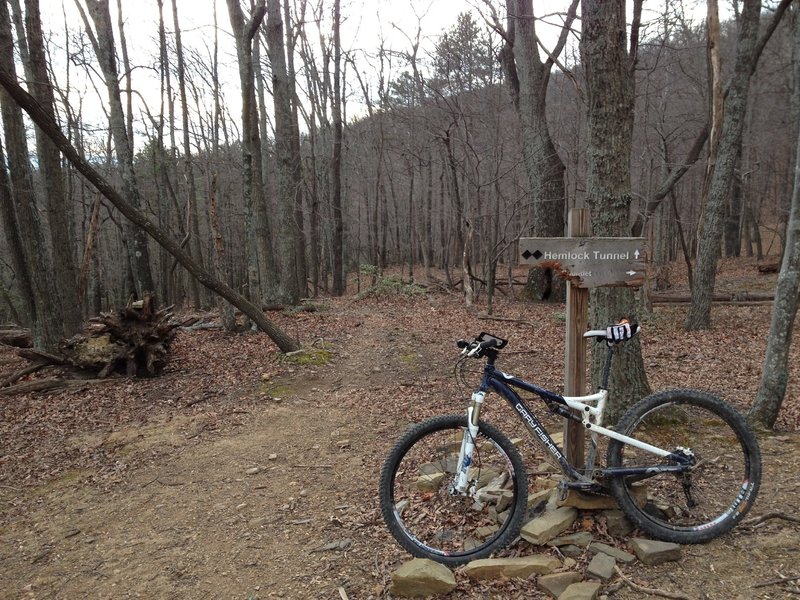 Top trail head of Hemlock Tunnel.