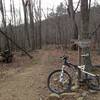 Top trail head of Hemlock Tunnel.