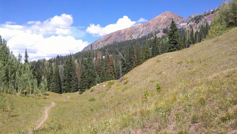 the backside of ruby peak from the dyke trail