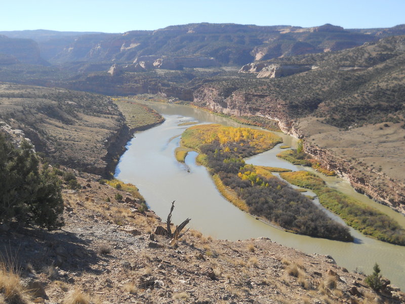 Marvelous Mary's Loop