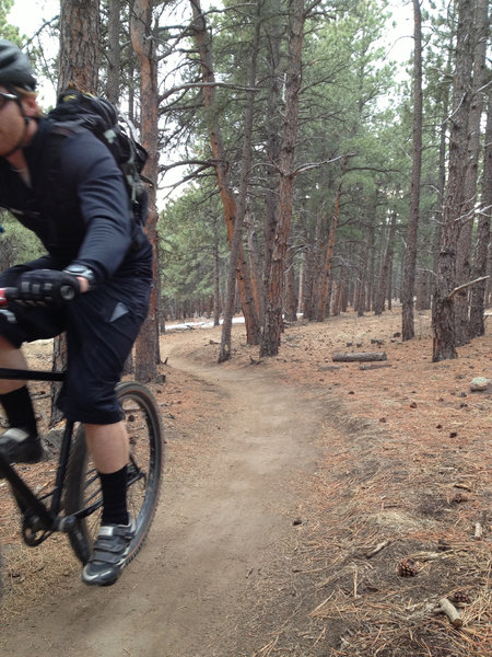 A mellow and smooth section heading up the Wapiti Trail at Heil Ranch.  The trail gets rockier as you head up towards the Ponderosa loop.