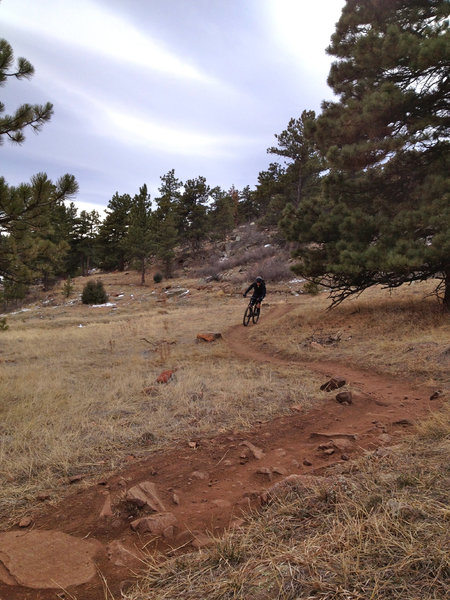 About a third of the way down the Picture Rock trail.  Look for deer on this section!