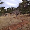 About a third of the way down the Picture Rock trail.  Look for deer on this section!