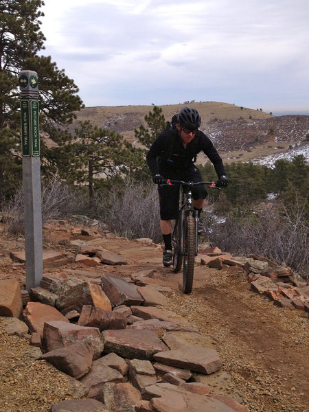 The clearly marked junction of Picture Rock trail and Wild Turkey trail.