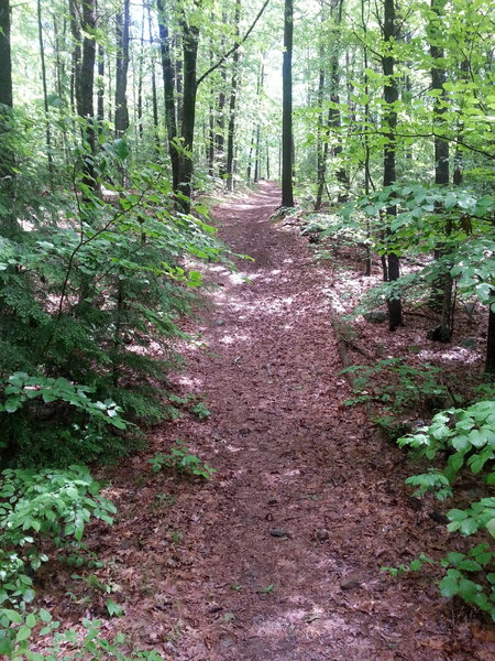 If the ride is done clock wise, reversed direction of the GPX, this will be nice climb. (Hollis, NH)