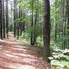 Spalding Park Town Forest (Hollis, NH)