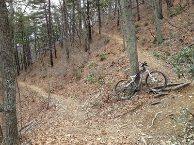 Switchback #2