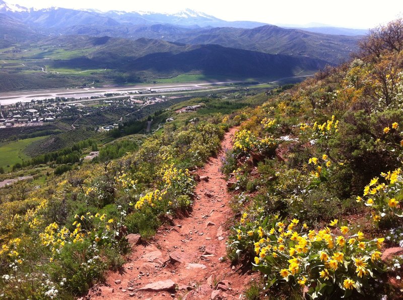 Lower Sunnyside trail.  The trail turns to red rock once below the aspen groves.