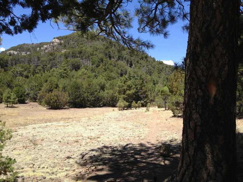 The meadow with a portion of the Palomas Peak climbing are in the background
