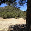 The meadow with a portion of the Palomas Peak climbing are in the background