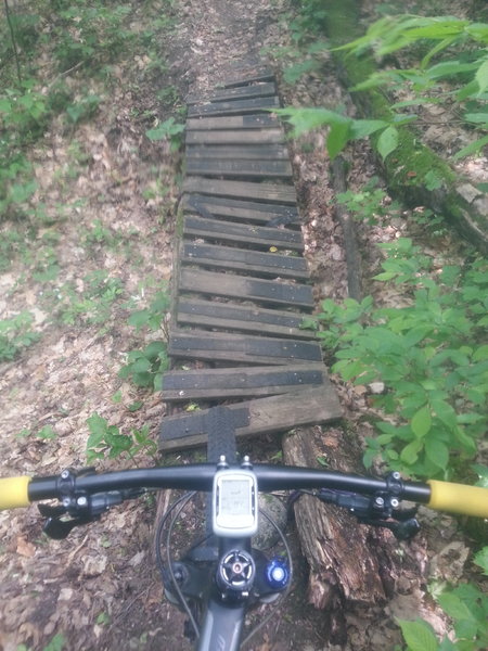 One of several bridges in Boyne Highlands - this one is in rough shape.