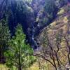 Ogden Creek flowing vertically