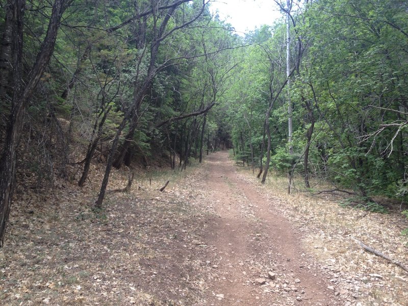 Ascending Doubletrack on T5002