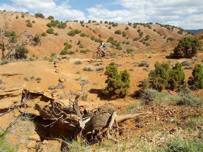 Mothers Day Mountain Biking on Corkscrew