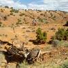 Mothers Day Mountain Biking on Corkscrew