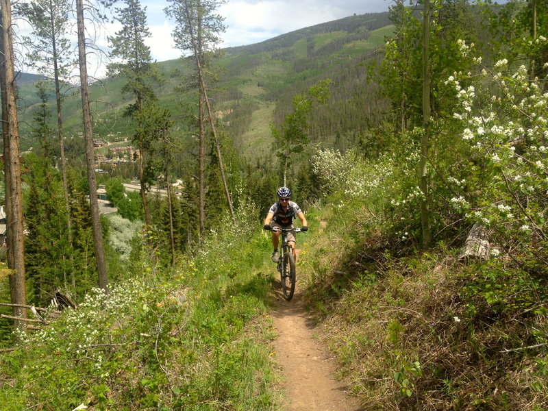 Starting up the North Trail singletrack