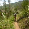 Starting up the North Trail singletrack