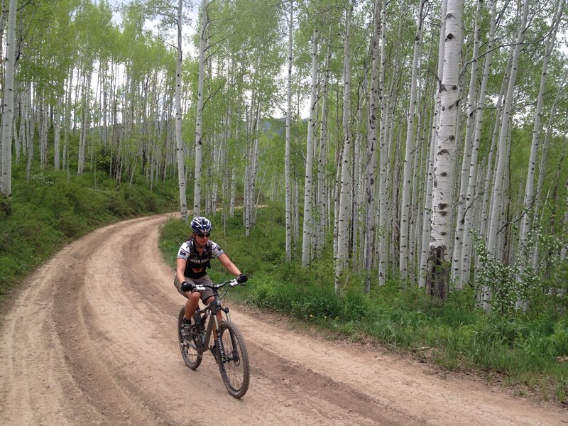 Cruising through the nice aspen forest.