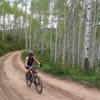 Cruising through the nice aspen forest.