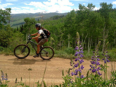 Wild lupine and some high peaks in early June.