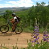 Wild lupine and some high peaks in early June.