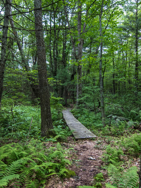 Half Moon Meadow trail