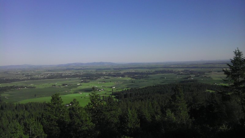 The view of the palouse to the south.