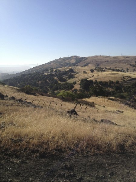 Looking East towards Coyote Peak