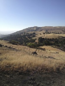 Looking East towards Coyote Peak